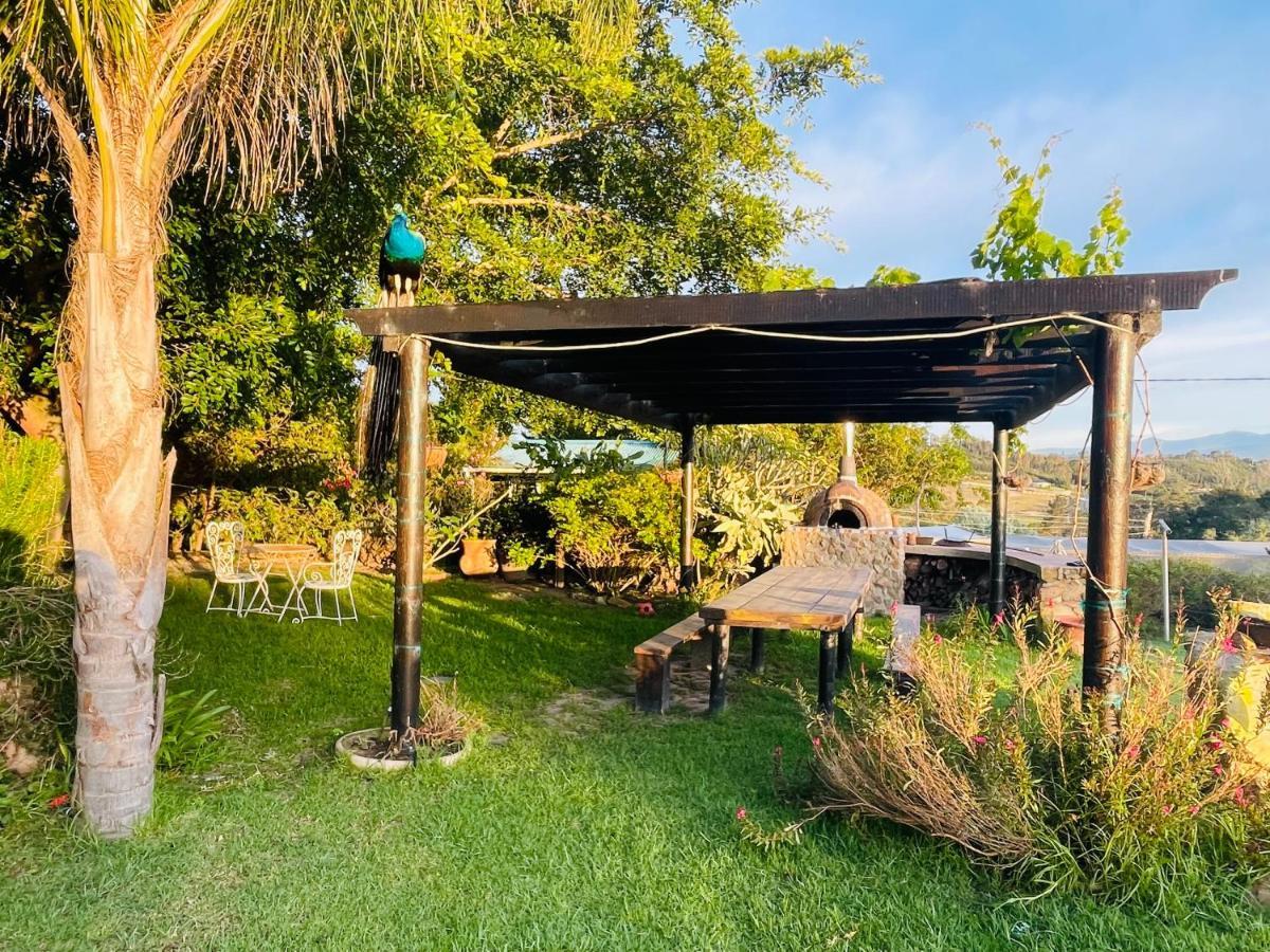 Moonriver Cottage, Prime Lagoon Views & Solar Power Knysna Exterior foto